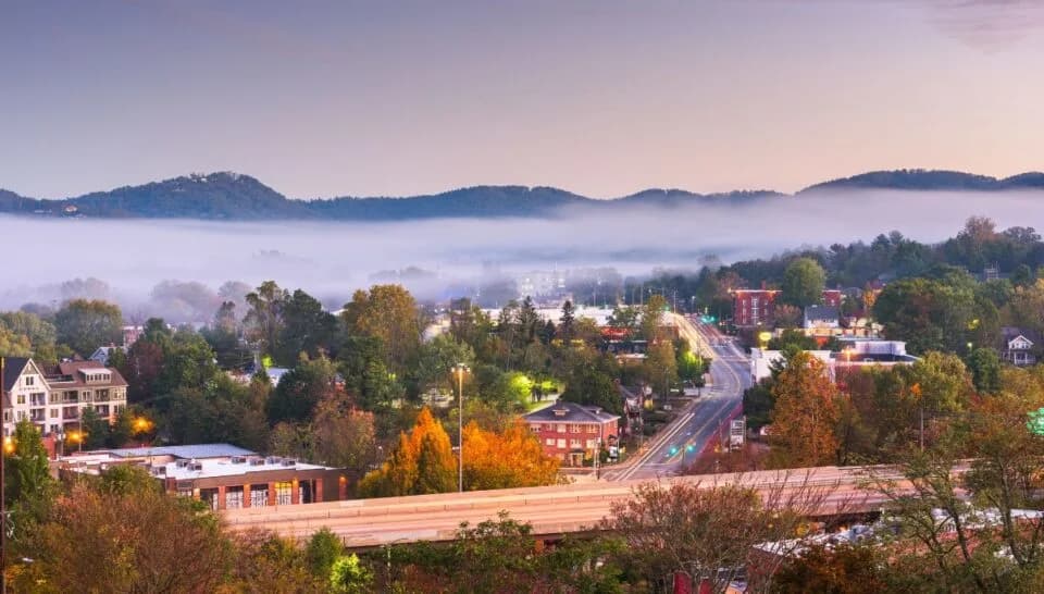 About APPNA North Carolina